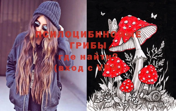 ешки Арсеньев