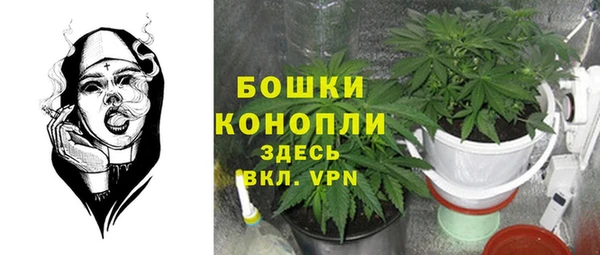 эйфоретик Аркадак