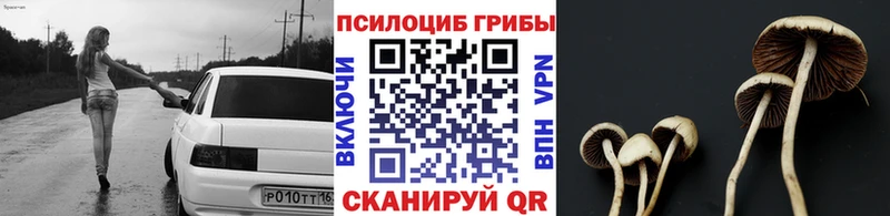 дарк нет Telegram  где купить наркотик  Северо-Курильск  Галлюциногенные грибы MAGIC MUSHROOMS 